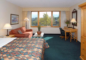 Marriott Sleeping Room